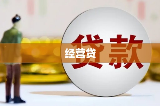 林园经营贷