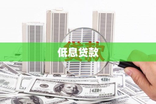 林园低息贷款