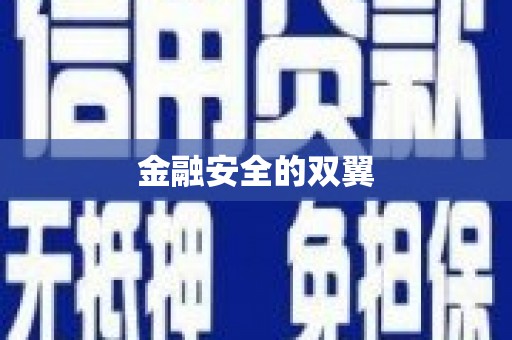 林园金融安全的双翼