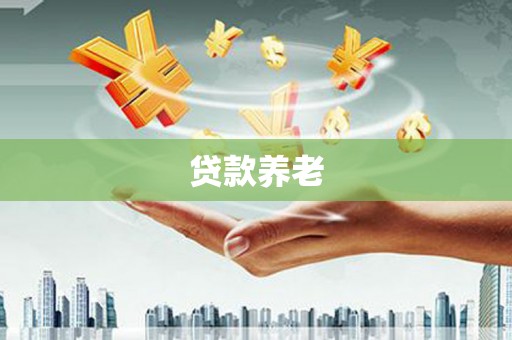 林园贷款养老