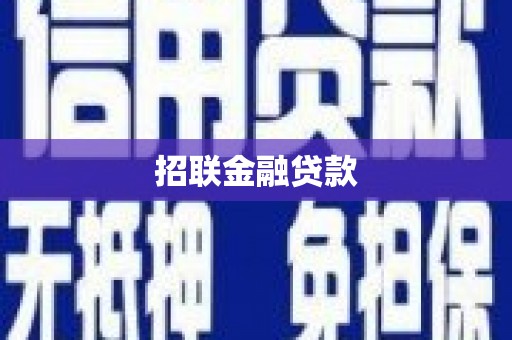 林园招联金融贷款