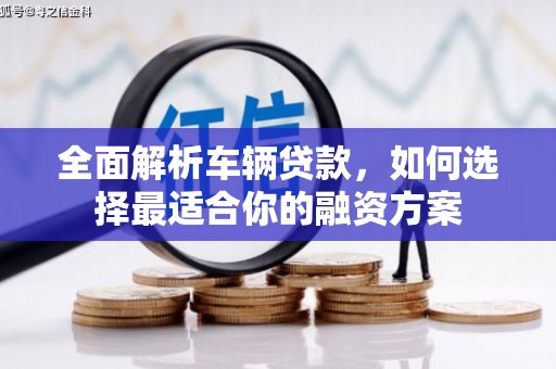 林园全面解析车辆贷款，如何选择最适合你的融资方案