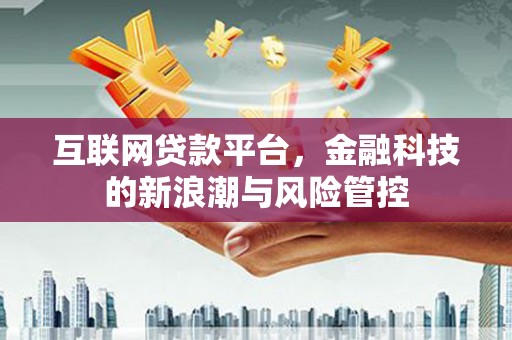 林园互联网贷款平台，金融科技的新浪潮与风险管控