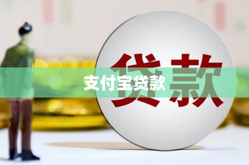 林园支付宝贷款
