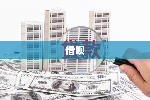 林园借呗