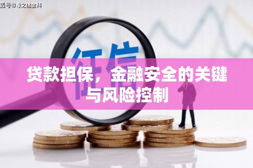 林园贷款担保，金融安全的关键与风险控制