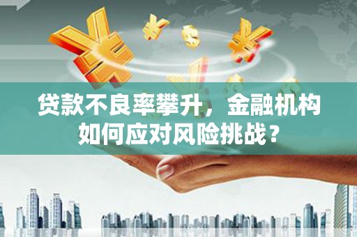 林园贷款不良率攀升，金融机构如何应对风险挑战？