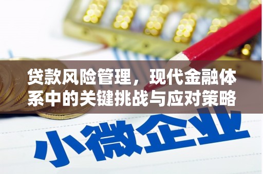 林园贷款风险管理，现代金融体系中的关键挑战与应对策略