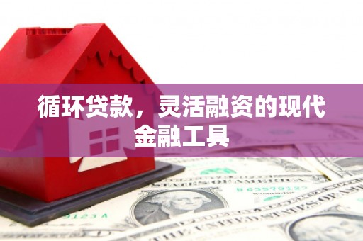 林园循环贷款，灵活融资的现代金融工具