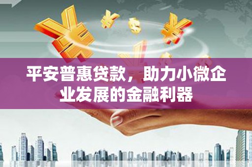 林园平安普惠贷款，助力小微企业发展的金融利器
