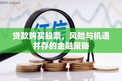 林园贷款购买股票，风险与机遇并存的金融策略