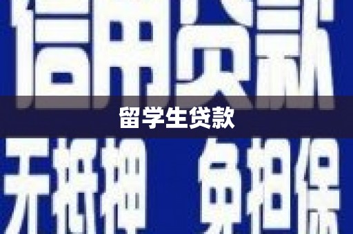 林园留学生贷款