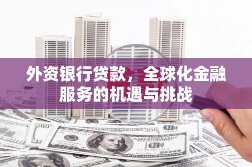 林园外资银行贷款，全球化金融服务的机遇与挑战