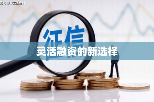 林园灵活融资的新选择