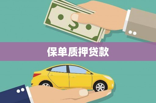 林园保单质押贷款