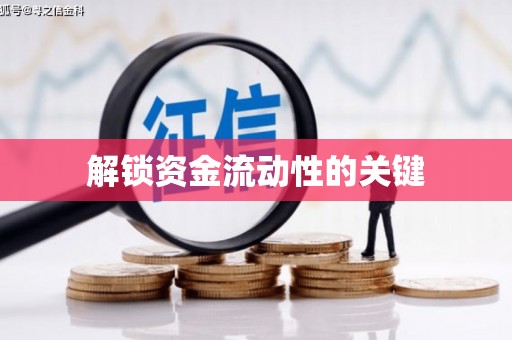 林园解锁资金流动性的关键