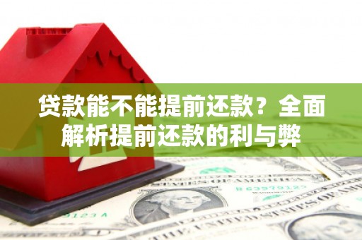 林园贷款能不能提前还款？全面解析提前还款的利与弊