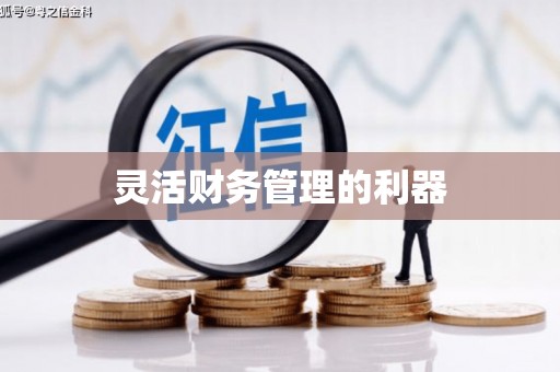林园灵活财务管理的利器