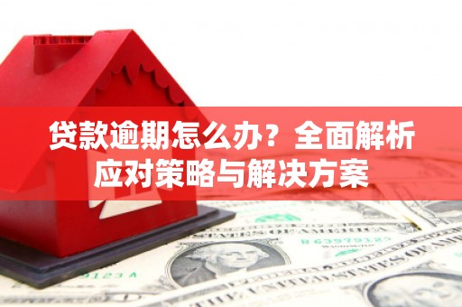 林园贷款逾期怎么办？全面解析应对策略与解决方案