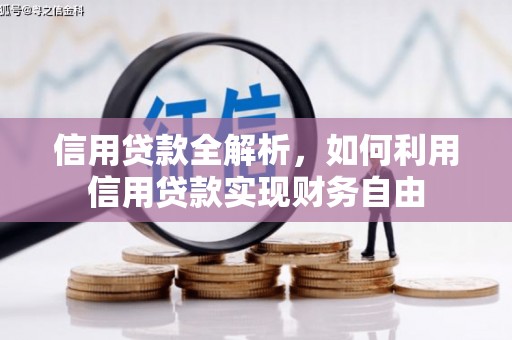 林园信用贷款全解析，如何利用信用贷款实现财务自由