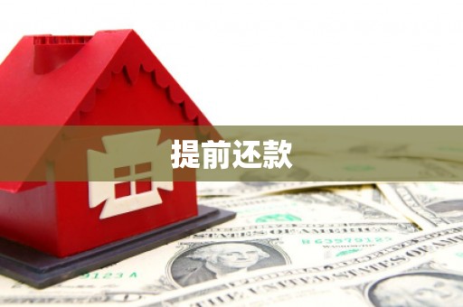 林园提前还款