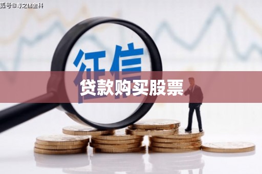 林园贷款购买股票